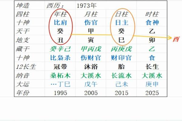 伤官女命：如何影响婚姻幸福与选择？