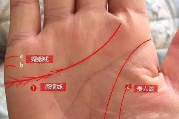 手纹解密：婚姻、财富与命运的神秘攻略