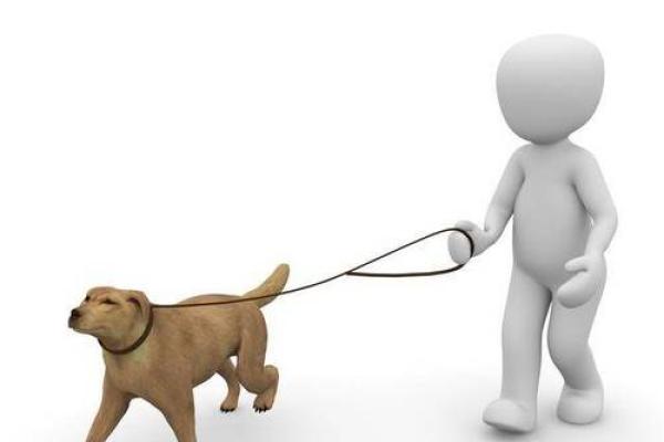 属狗的命运与时辰:揭秘哪些时辰命最苦! 属狗的命运与时辰:揭秘哪些时辰命最苦!