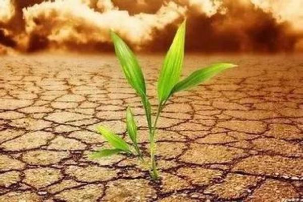 深入探讨：沙中土命的命理缺失与修复之道