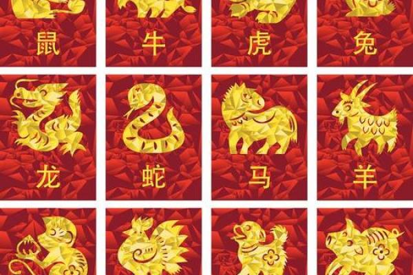 揭秘女富豪命:不同生肖如何影响财富与成功 揭秘女富豪命:不同生肖如何影响财富与成功