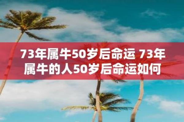 揭秘巳时出生之人，属牛命理解析及生活启示