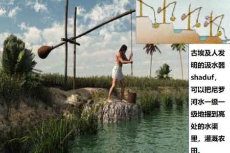 深入解读《申命记》：信仰、律法与生活的启示