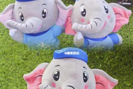 属虎火命本命年佩戴什么吉祥物能增运？