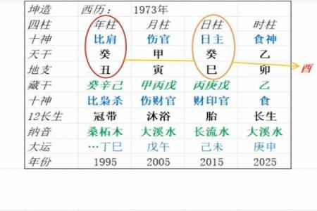伤官女命：如何影响婚姻幸福与选择？