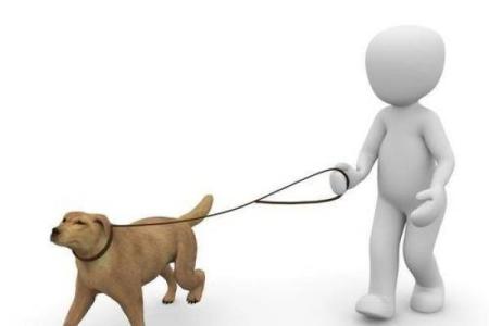 属狗的命运与时辰：揭秘哪些时辰命最苦！