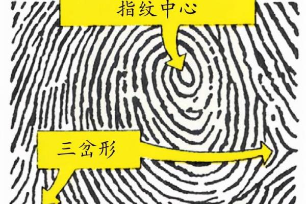 十个簸萁的男人命运解析:揭示生活背后的故事与智慧 十个簸萁的男人命运解析:揭示生活背后的故事与智慧