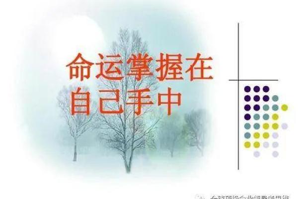 1981年属鸡人的命理解析与人生建议 1981年属鸡人的命理解析与人生建议