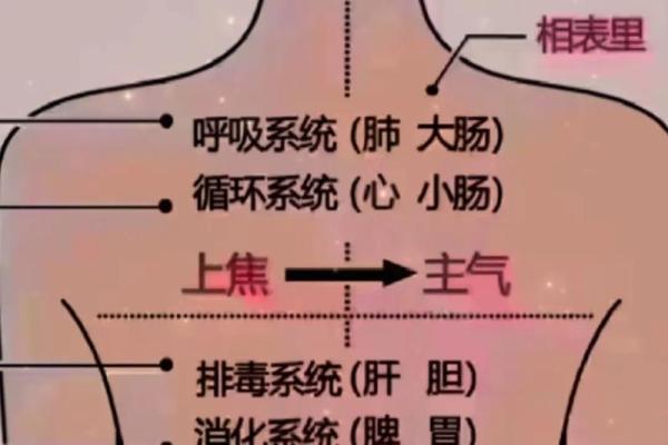 缺水命与哪些命相克?探寻五行中的神秘力量 缺水命与哪些命相克?探寻五行中的神秘力量