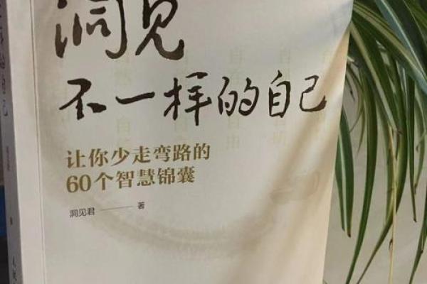 桑柘木命的深刻含义与人生启示：探寻心灵的智慧之路