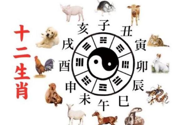 十二月出生的命运:揭秘他们的性格与人生之路 十二月出生的命运:揭秘他们的性格与人生之路