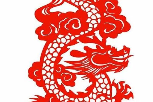 属龙人士下半辈子的命运与发展之道探讨 属龙人士下半辈子的命运与发展之道探讨