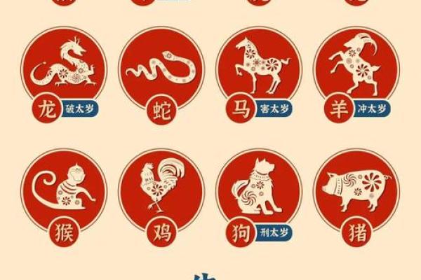 牛年的1997年出生的人命运如何？探索与解读！