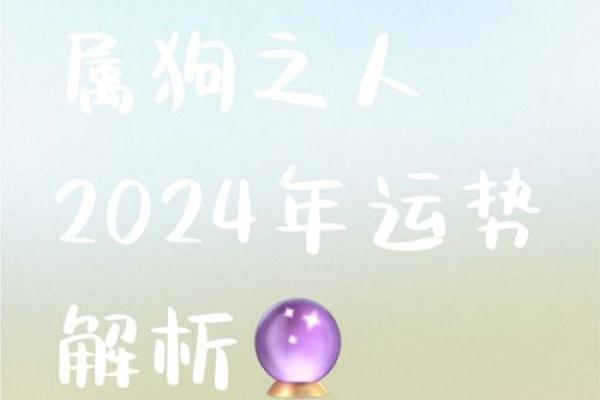 属狗的人在不同月份的运势解析：哪些月份最为幸运？