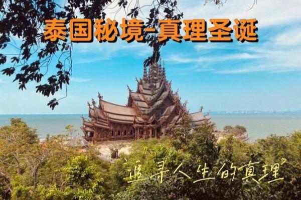 桑拓木命：水墨画中的生命哲学与艺术魅力