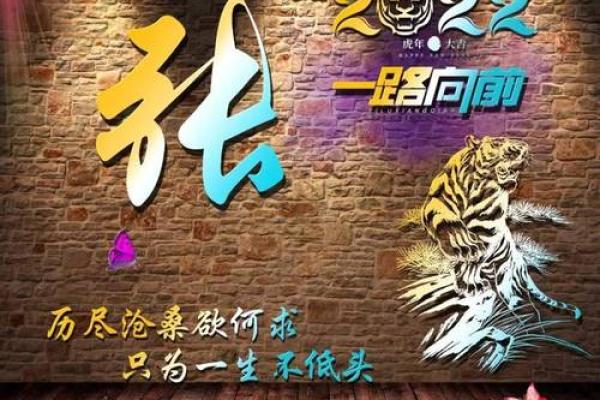 深入探讨张姓五行属土命的性格与命运特征