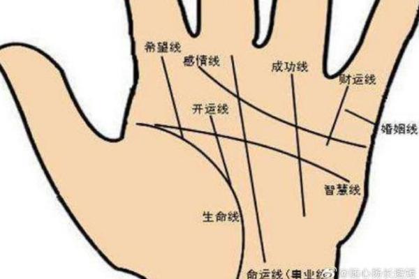 女人手上的斗纹揭秘：看似平常，却暗藏命运的玄机