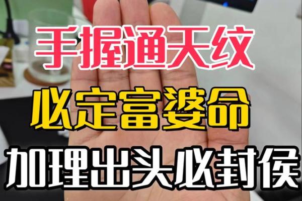 女人手上的斗纹揭秘：看似平常，却暗藏命运的玄机