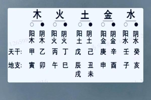 如何通过命理学判断一个人的五行属性? 如何通过命理学判断一个人的五行属性?