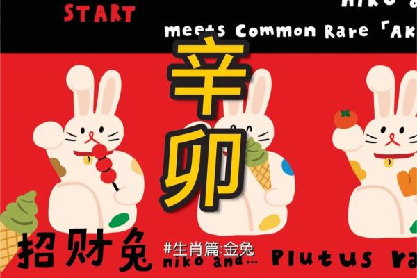 属兔人的60岁命运揭秘:智慧与幸运的结合! 属兔人的60岁命运揭秘:智慧与幸运的结合!