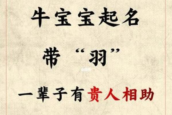 属牛宝宝农历十月命理解析:如何找到最适合他们的生活与成长之道 属牛宝宝农历十月命理解析:如何找到最适合他们的生活与成长之道