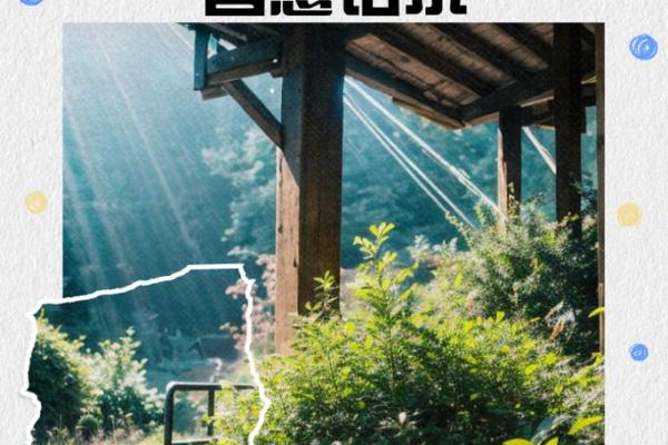 如何根据个性特点选择事业道路：成就人生的智慧