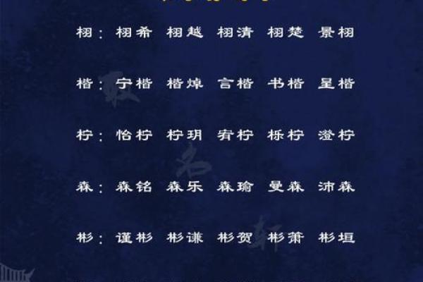 沙中土命与其他命理的最佳匹配，福气满满的选择！