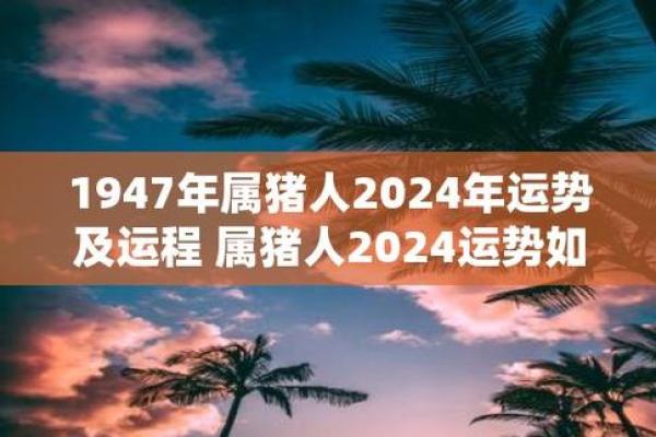 属猪命理解析：金木水火与属猪人的运势关系