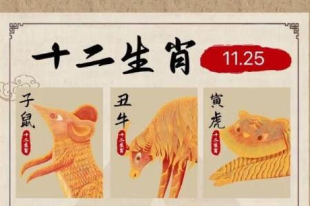 什么生肖的人长得好看，命好？解读魅力与运势的秘密！