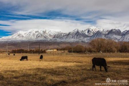 属猪山头火命：焰火般的热情与生命力之源