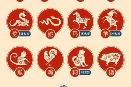 牛年的1997年出生的人命运如何？探索与解读！