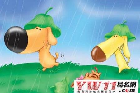 属狗的命里缺水，究竟影响了什么，该如何调和？