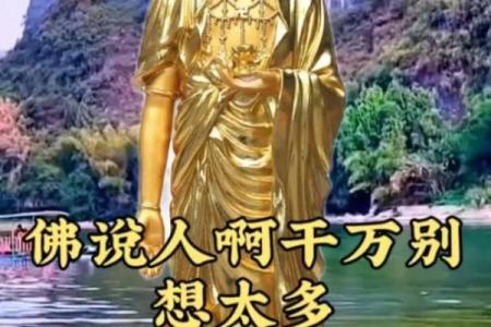 懂得命运的选择：太太与小姐的命是什么命