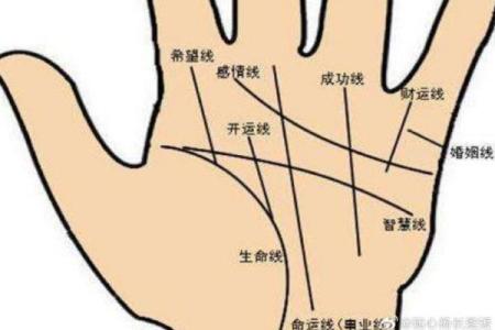 女人手上的斗纹揭秘：看似平常，却暗藏命运的玄机