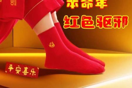 龙凤命理：探索命理学中的龙命与凤命奥秘