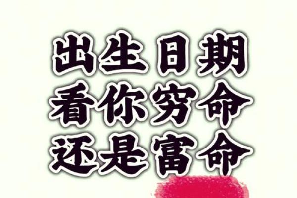 农历一月出生的马：性格、命运与人生的独特轨迹