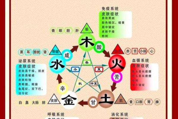 命理匹配：探索五行与情感的和谐之道