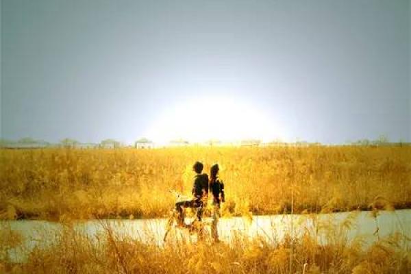 山下火命男孩与水命女孩的浪漫相遇:天生的默契与爱情的碰撞 山下火命男孩与水命女孩的浪漫相遇:天生的默契与爱情的碰撞