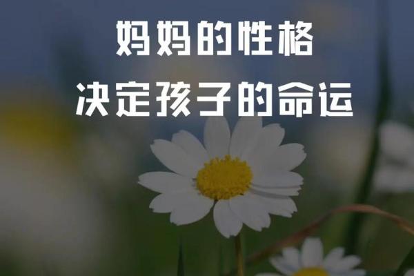 生什么样的孩子都是命好：探讨育儿与命运的关系