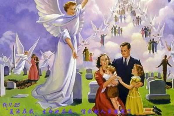 生命的价值:命贵与命贱的思考和启示 生命的价值:命贵与命贱的思考和启示