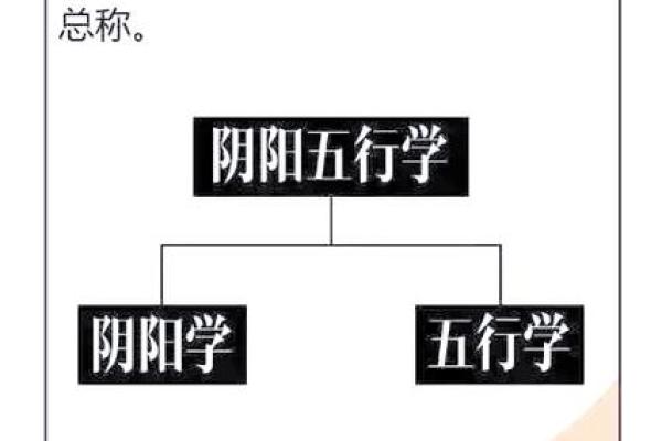 揭示命理奥秘:女命与男命的深意与影响 揭示命理奥秘:女命与男命的深意与影响