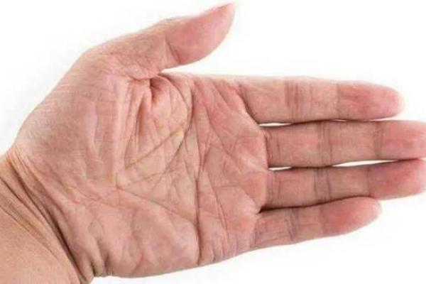 解读女人的命运:十个簸箕背后的秘密与人生启示 解读女人的命运:十个簸箕背后的秘密与人生启示