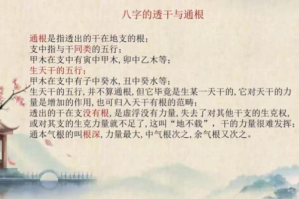 如何打造适合理科生的命局：科学与命理的完美结合