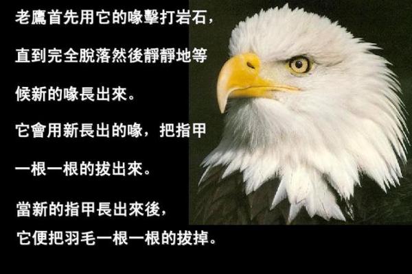 男性八字三壬命：解析与人生启示