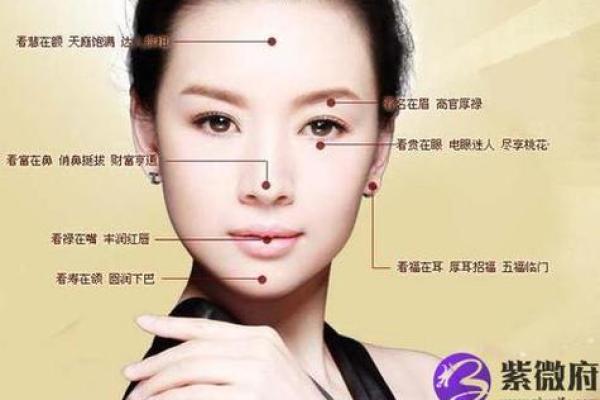 揭秘:女人什么脸最有钱命?从面相看财富运势! 揭秘:女人什么脸最有钱命?从面相看财富运势!