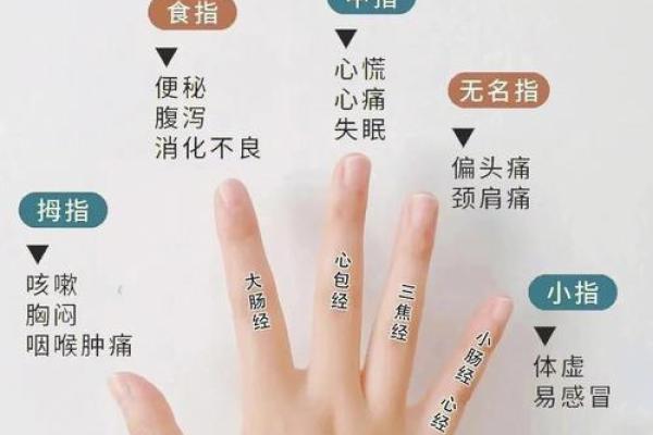 手指短女生的命运解析：五指背后藏的秘密与机遇