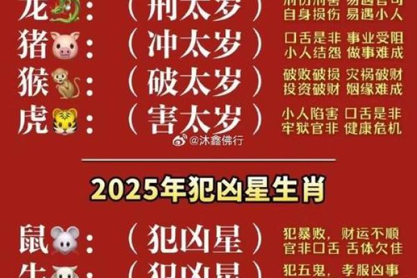2022年属虎宝宝:在五行中绽放的命运之花 2022年属虎宝宝:在五行中绽放的命运之花