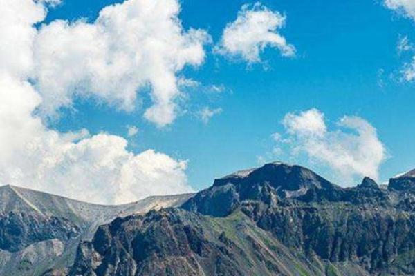 属龙者：为何总是充满工作热情的工作狂？