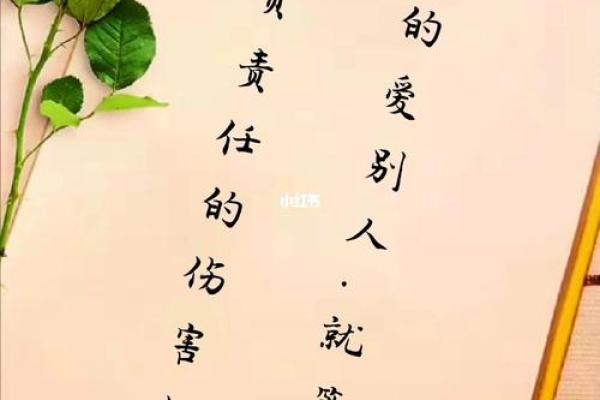莆田话中的“啊贼命”解读：一句话背后的文化和情感
