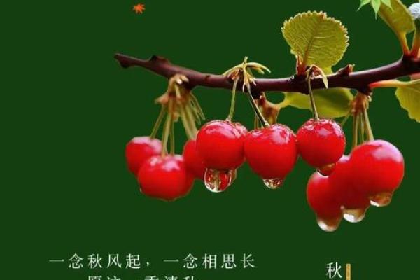 决定晚年幸福的关键：哪些人更易享受宁静人生？